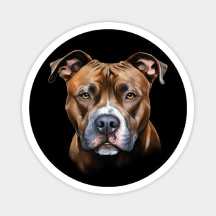 American Pitbull Terrier Dog Portrait Magnet